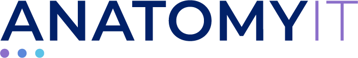 Anatomy IT logo