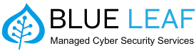 Silverleaf Computer Services Inc logo