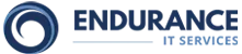 Endurance IT Services logo