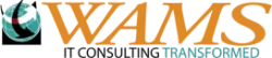 WAMS, Inc. logo
