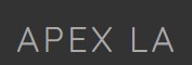 Apex logo