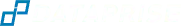 Dataprise logo