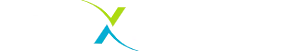 Flexible IT logo