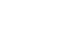Protiviti logo
