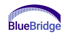 BlueBridge Networks logo