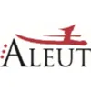Aleut Information Technology logo