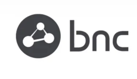 Business Network Consulting logo