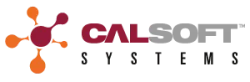 Calsoft Systems logo