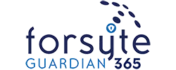 Forsyte IT Solutions, LLC. logo