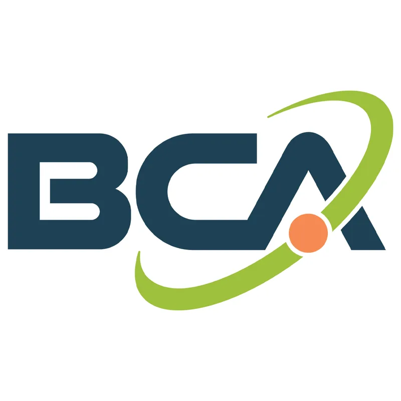 BCA IT, Inc. logo