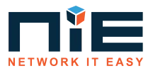 Network it Easy logo
