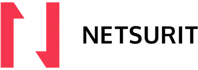 Netsurit logo